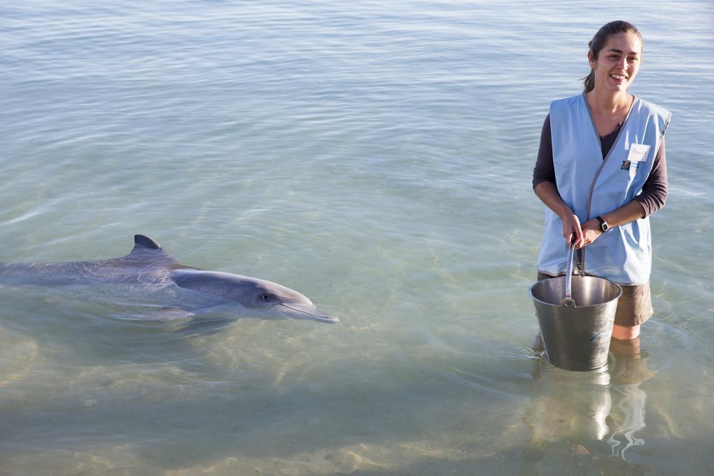 Rac Monkey Mia Dolphin Resort Exteriér fotografie