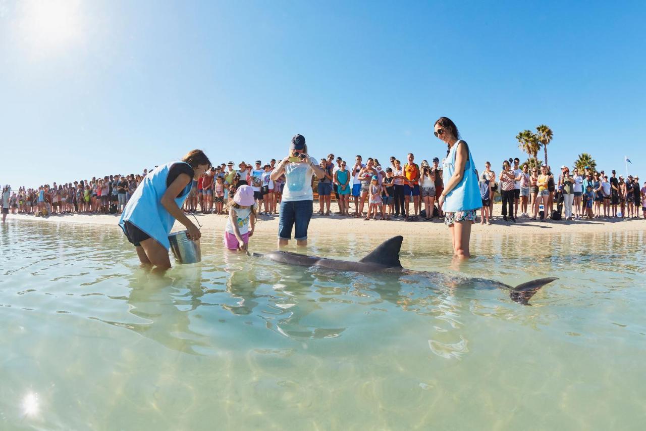 Rac Monkey Mia Dolphin Resort Exteriér fotografie